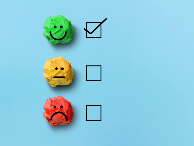 Decoding customers : satisfaction surveys and the voice of the customer