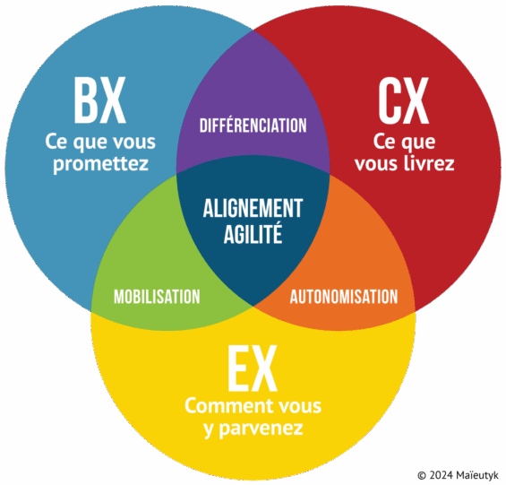 infographie 2