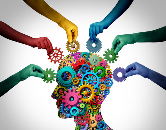 intelligence collective